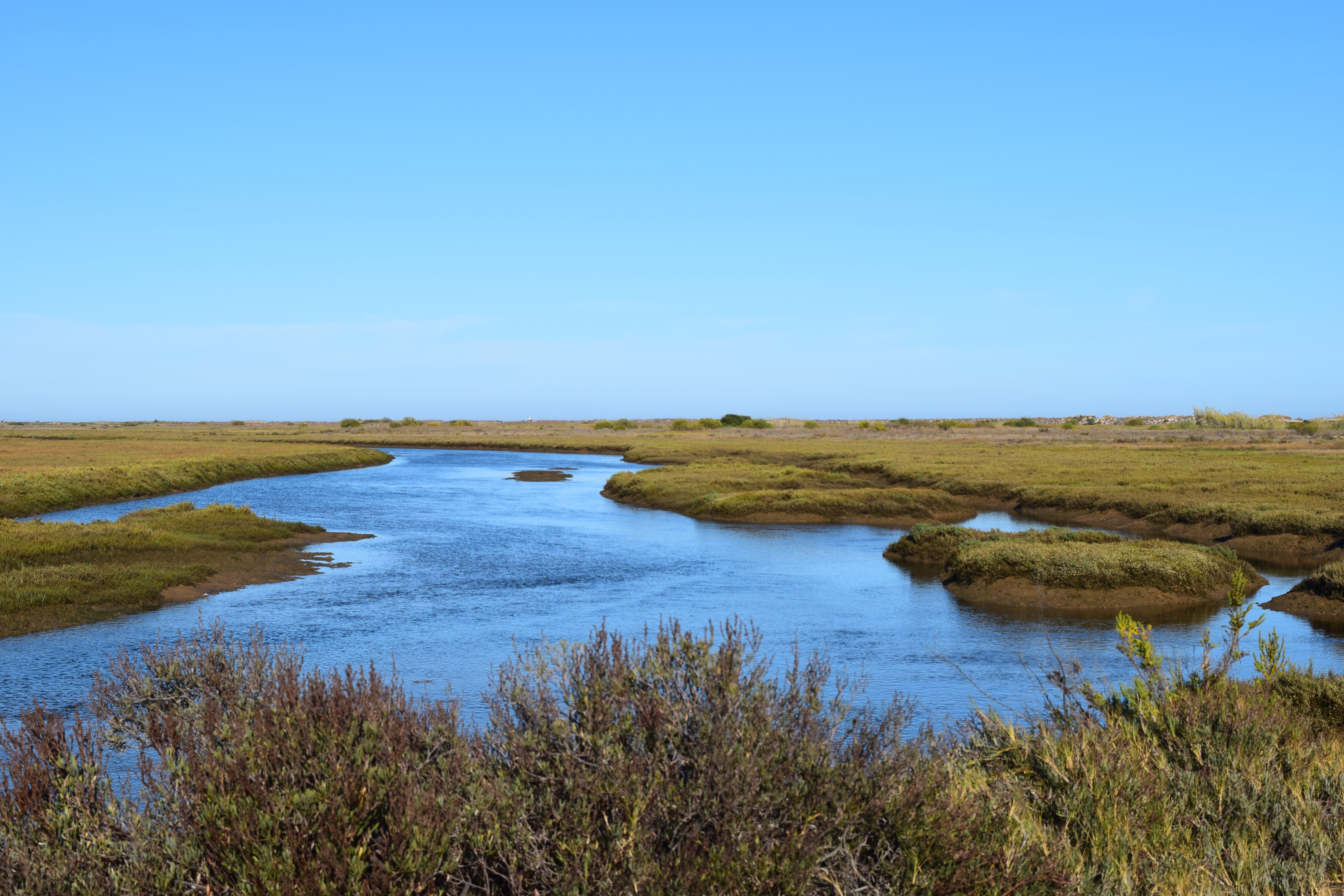 Tidal channels and salt marshes in the Ria Formosa